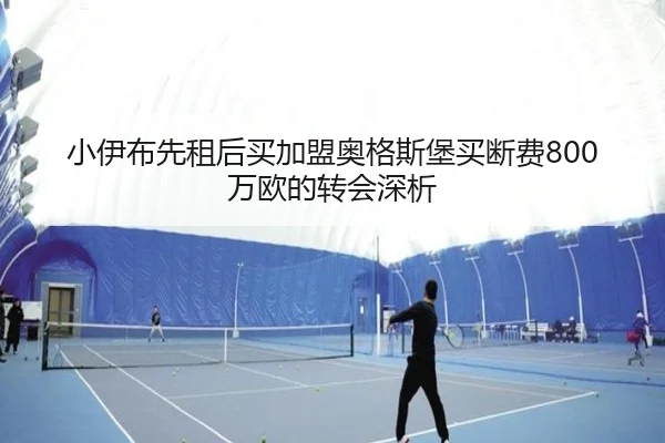 小伊布先租后买加盟奥格斯堡买断费800万欧的转会深析
